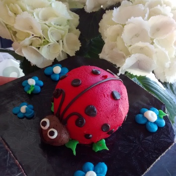 Ladybug Cake! (pssst...she was delicious!)